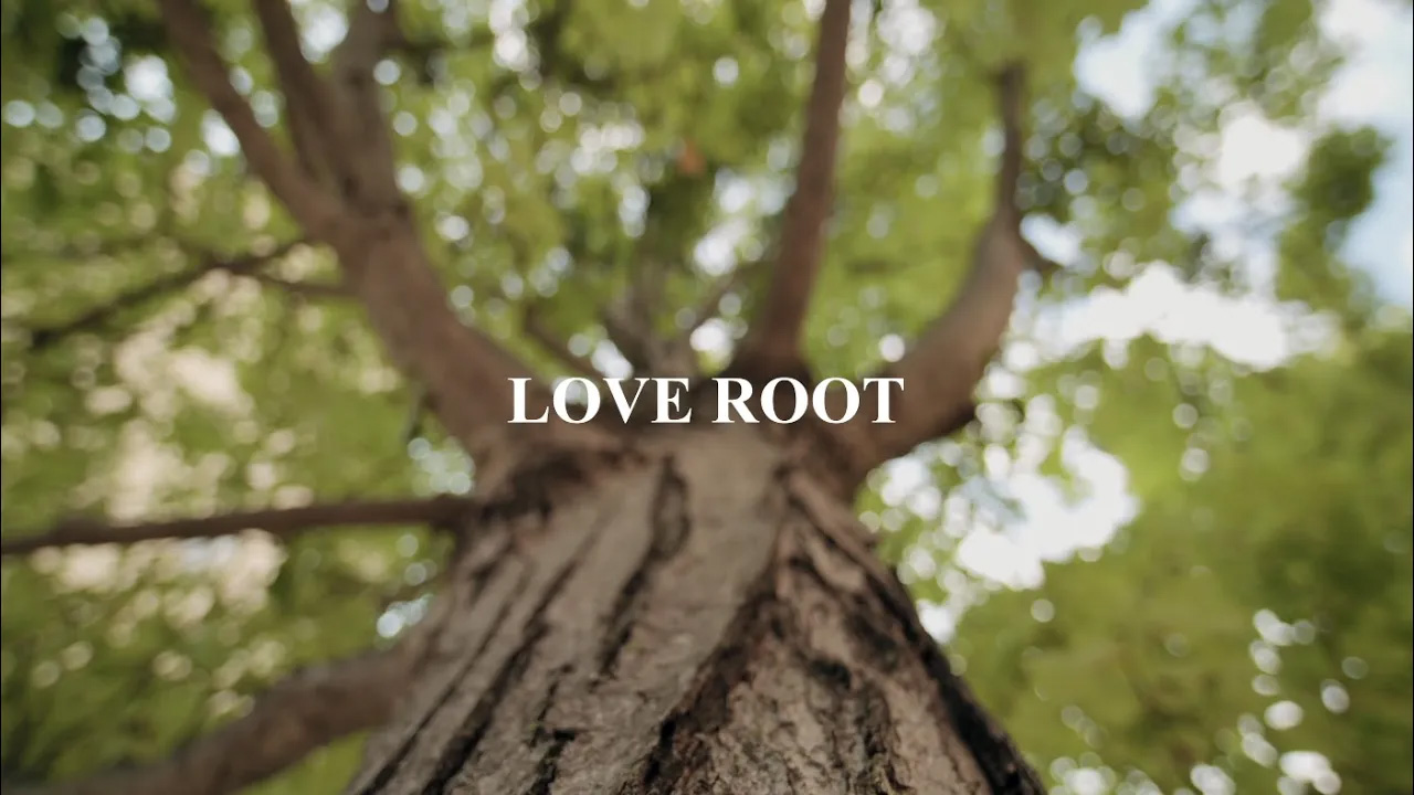 Love Root