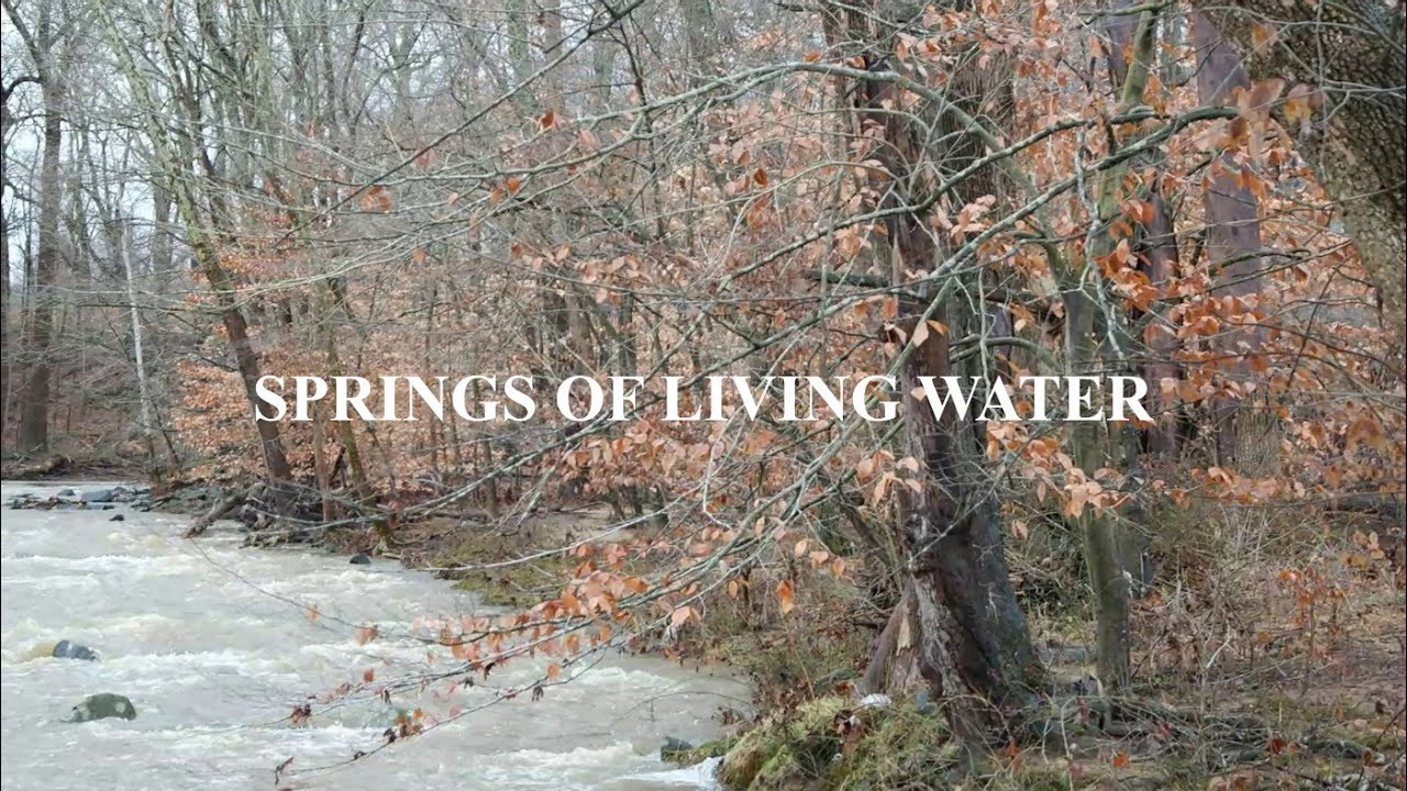 Springs of Living Water